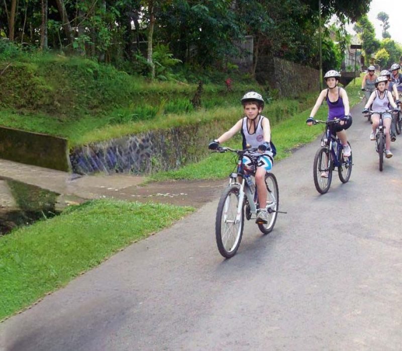 Bali Cycling Tour Kintamani