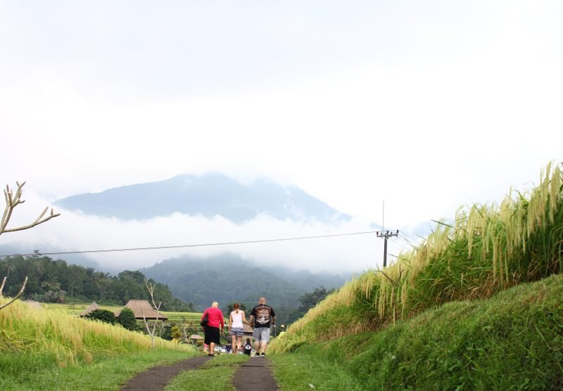 IMG_jatiluwih604