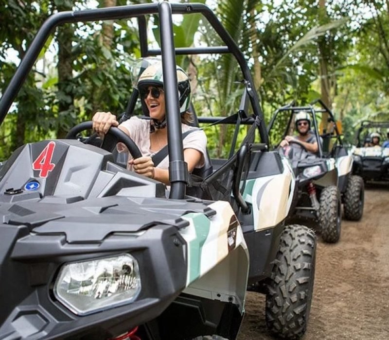 Jungle Buggies adventures bali