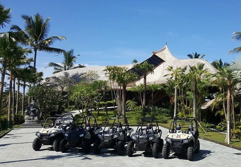Jungle Buggies adventures