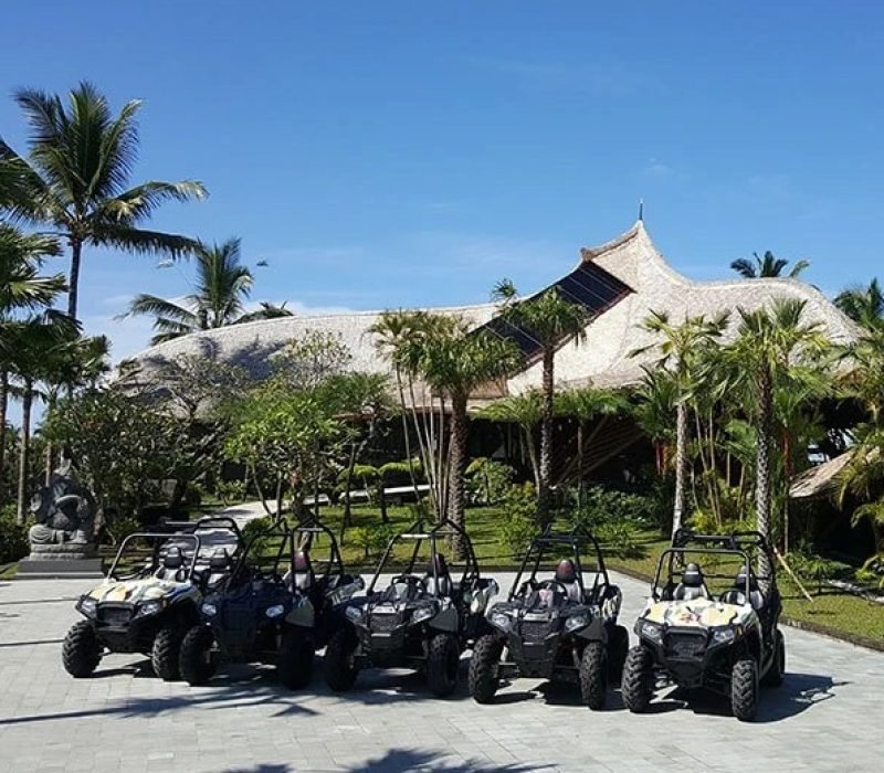 Jungle Buggies adventures
