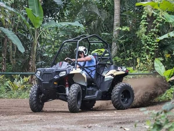 Jungle Buggies