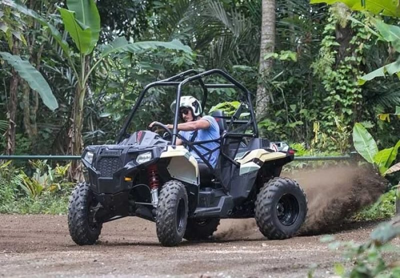 Jungle Buggies