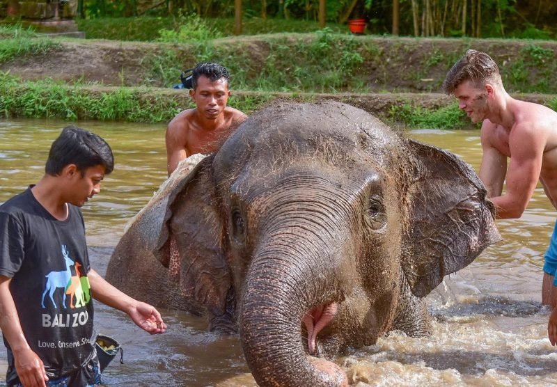 Making Splashy Memories