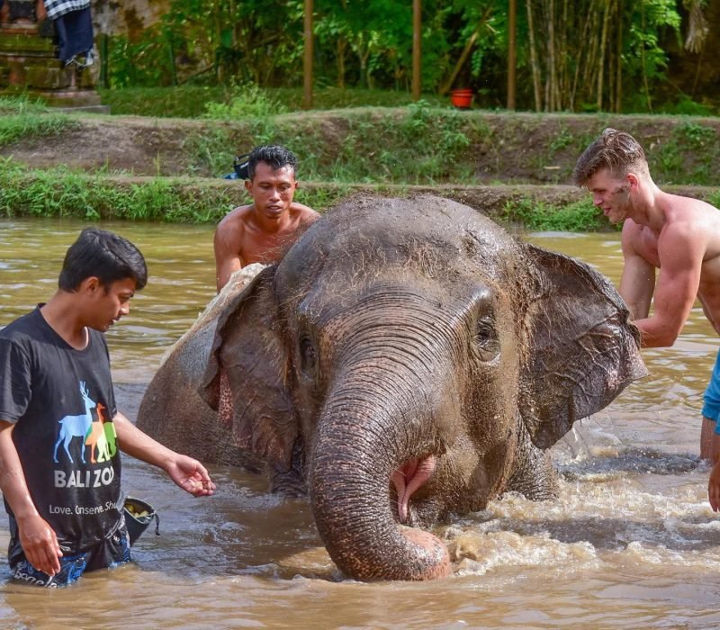 Making Splashy Memories