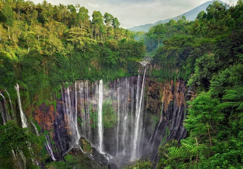 Tumpak_sewu_waterfall