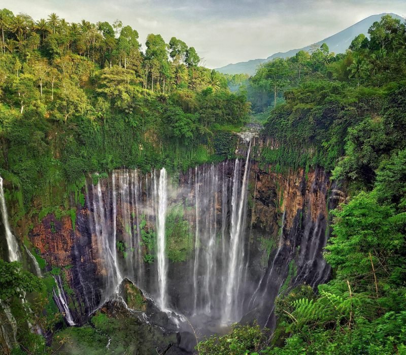 Tumpak_sewu_waterfall