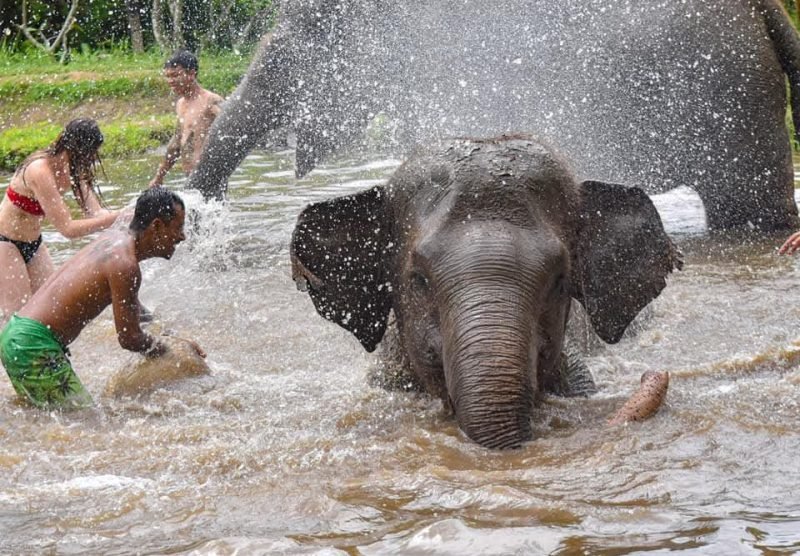 Wild and Free River Fun