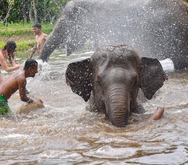 Wild and Free River Fun