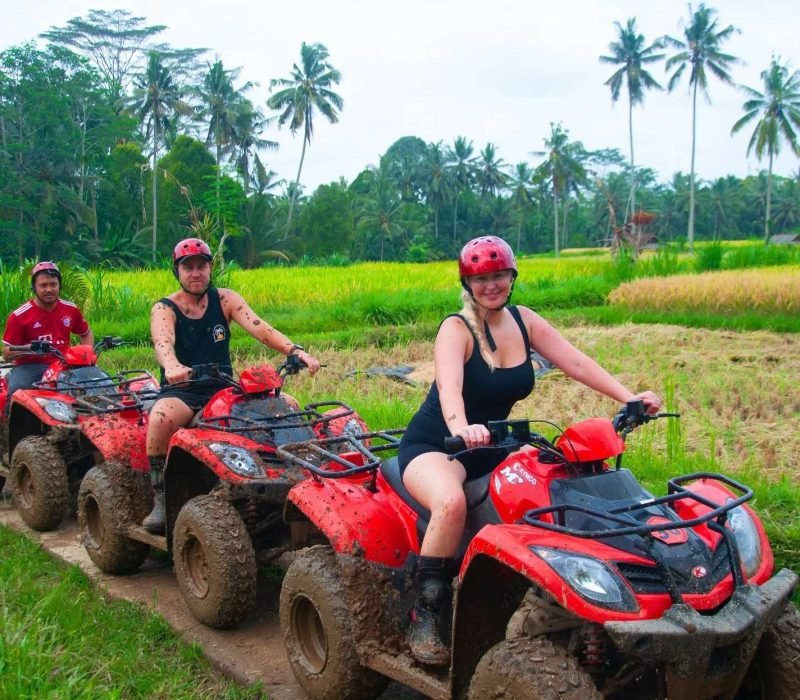 enjoy the rice field with ATV