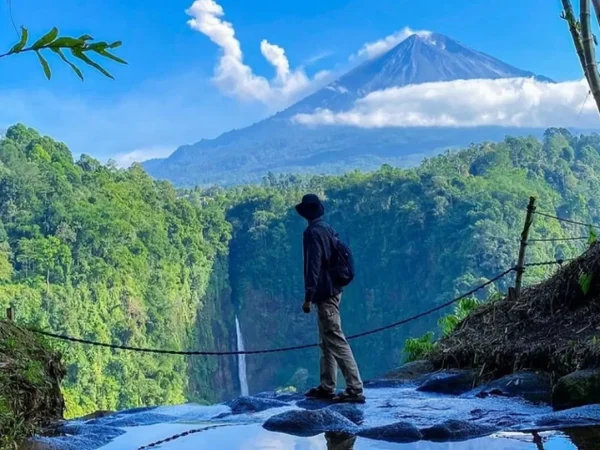 panoramic kapas biru