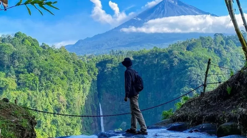 panoramic kapas biru