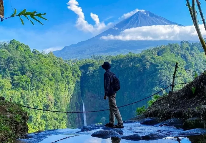 panoramic kapas biru