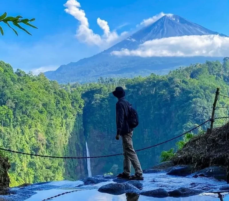 panoramic kapas biru