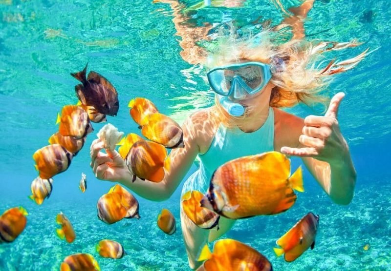 senorkling with fish