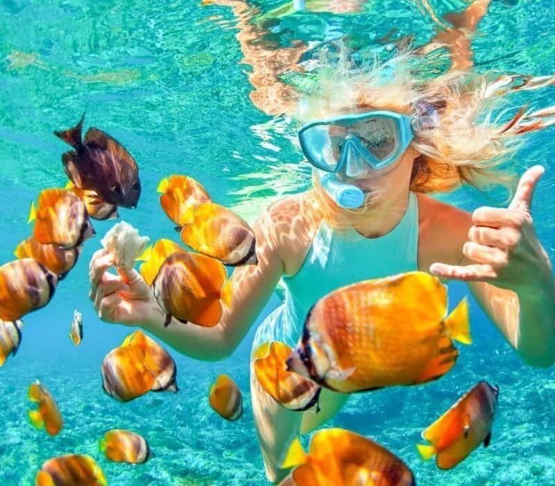 senorkling with fish