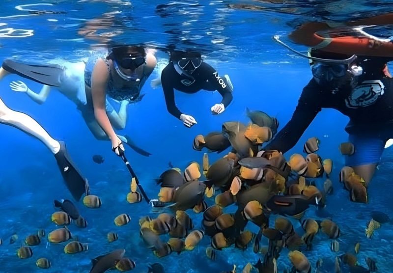 snorkeling nusa penida
