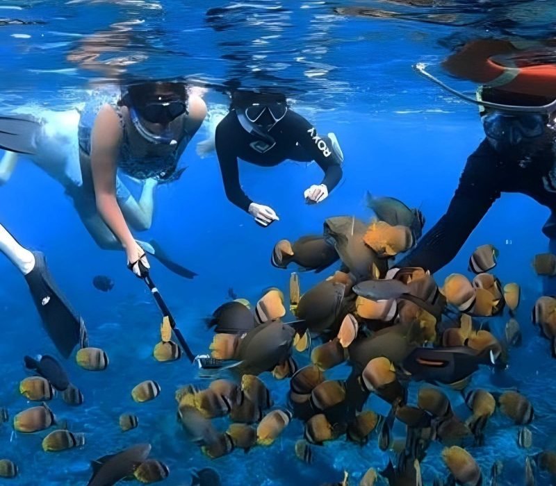 snorkeling nusa penida