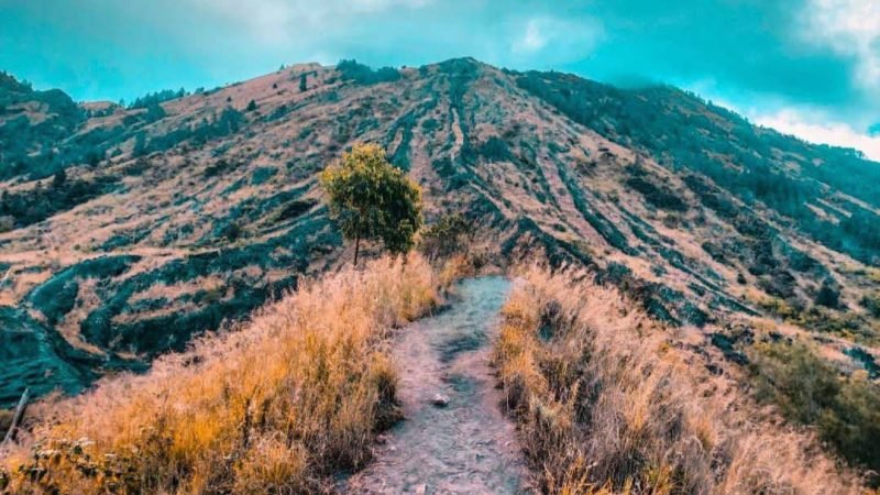 start point trekking mount batur