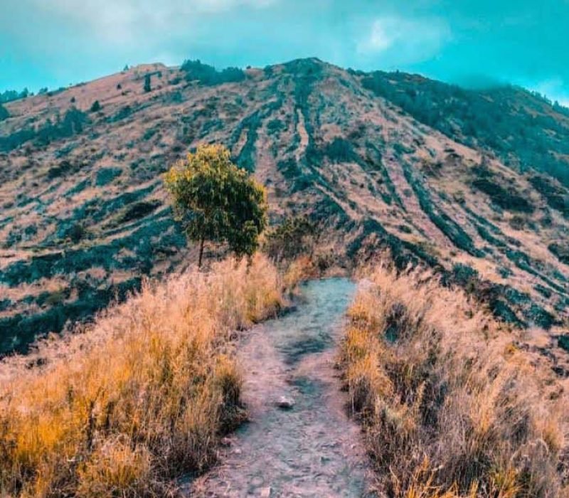 start point trekking mount batur