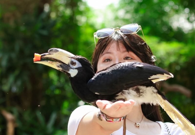 take photos with birds