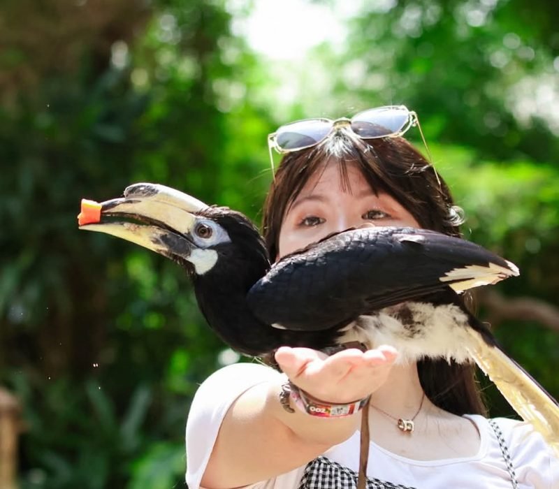 take photos with birds
