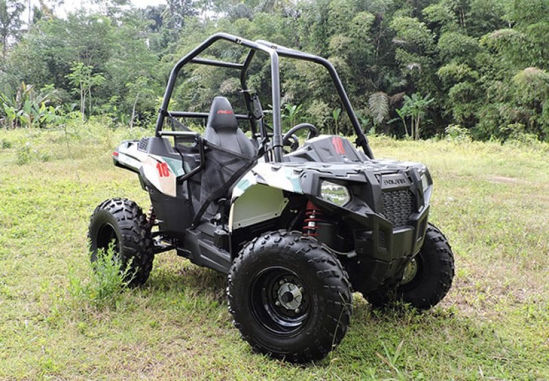 the buggy