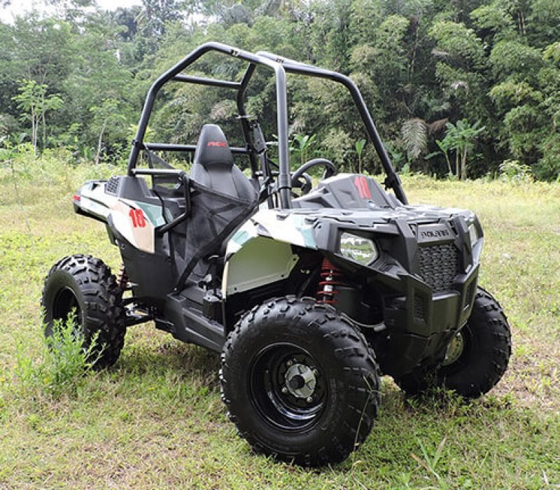 the buggy