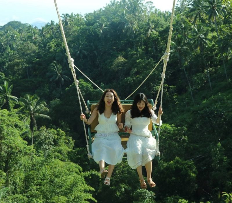 ubud swing bali activities