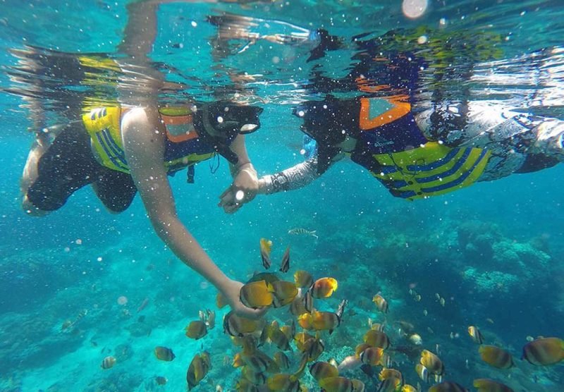 underwater bluelagoon view with fish