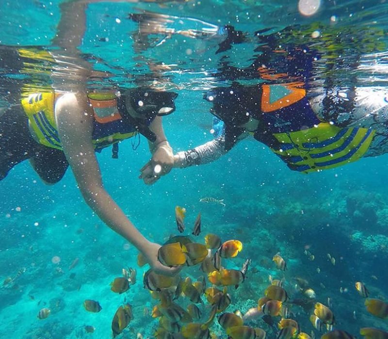 underwater bluelagoon view with fish